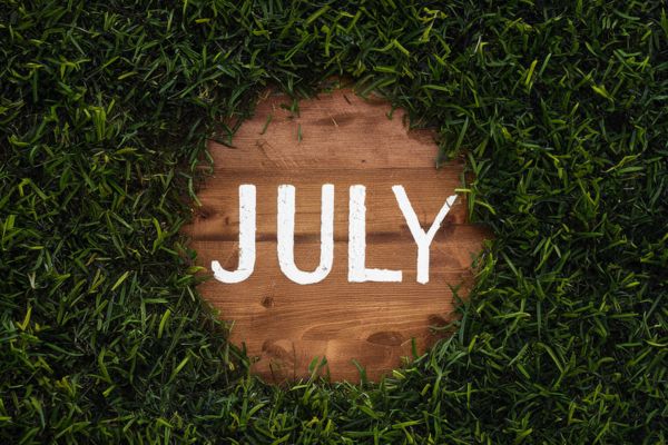 July Quotes: Inspiring Sayings for Every Event and Perfect Gift Ideas - Gear Elevation