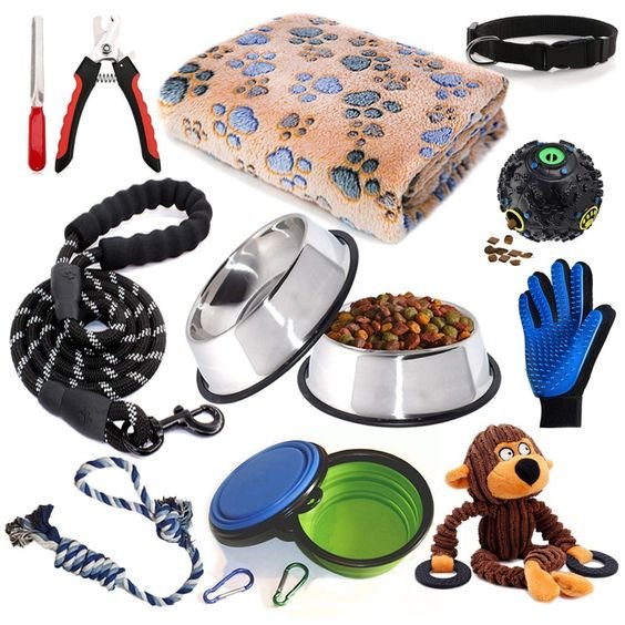 Pet Supplies - Gear Elevation