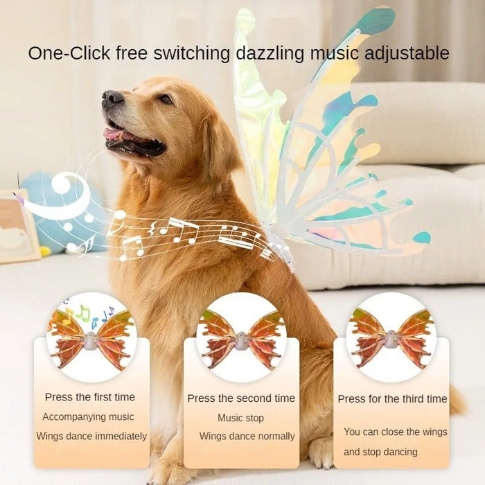 Butterfly Fairy Wings for Dogs - Enchanting Pet Accessory - Gear Elevation