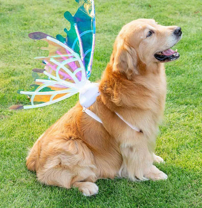 Butterfly Fairy Wings for Dogs - Enchanting Pet Accessory - Gear Elevation