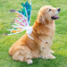 Butterfly Fairy Wings for Dogs - Enchanting Pet Accessory - Gear Elevation