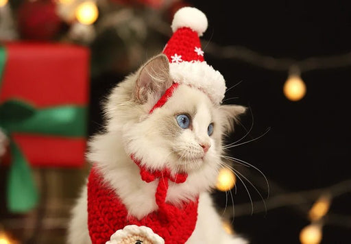 Christmas Pet Scarf & Hat – Adorable Red Scarf for Kittens & Puppies, Perfect Holiday Gift & Festive Accessory - Gear Elevation