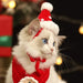 Christmas Pet Scarf & Hat – Adorable Red Scarf for Kittens & Puppies, Perfect Holiday Gift & Festive Accessory - Gear Elevation