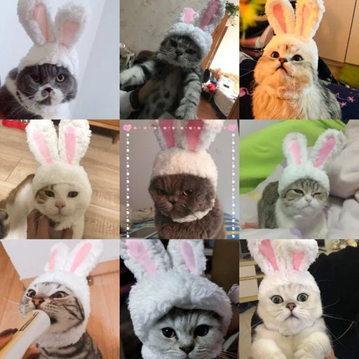 Cute Rabbit Hat for Pets – Perfect for New Year & Christmas Cosplay, Party Photo Props - Gear Elevation