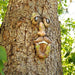 Enchanted Tree Face - Outdoor Tree Amusing Old Man Face Sculpture - Gear Elevation