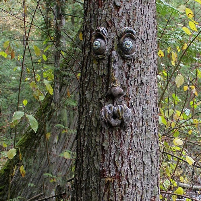 Enchanted Tree Face - Outdoor Tree Amusing Old Man Face Sculpture - Gear Elevation