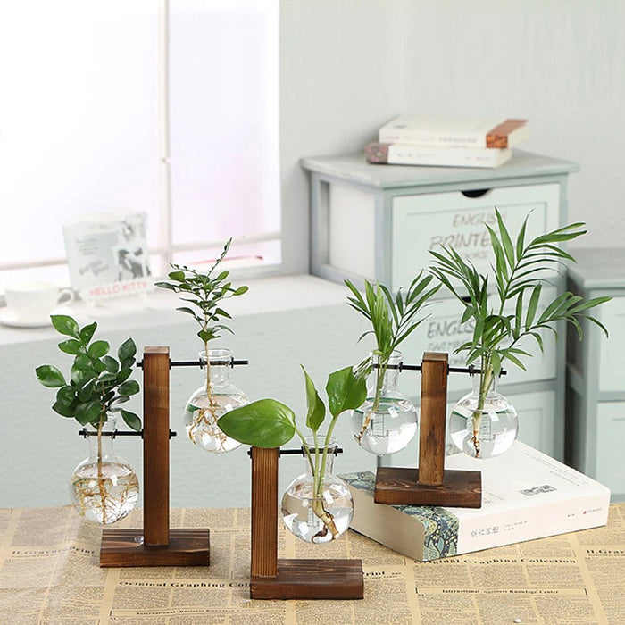 Glass Desktop Planter with Wooden Stand – Elegant Hydroponic Vase for Office or Living Room Plant Display - Gear Elevation