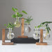 Glass Desktop Planter with Wooden Stand – Elegant Hydroponic Vase for Office or Living Room Plant Display - Gear Elevation