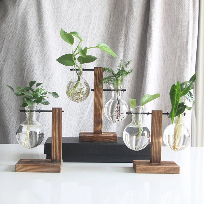 Glass Desktop Planter with Wooden Stand – Elegant Hydroponic Vase for Office or Living Room Plant Display - Gear Elevation