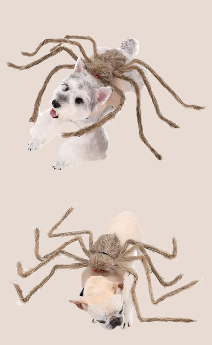 Halloween Pet Clothes - Big Spider Costumes for Dogs and Cats, Spooky Pet Halloween Costumes. - Gear Elevation