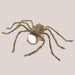 Halloween Pet Clothes - Big Spider Costumes for Dogs and Cats, Spooky Pet Halloween Costumes. - Gear Elevation