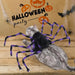 Halloween Pet Clothes - Big Spider Costumes for Dogs and Cats, Spooky Pet Halloween Costumes. - Gear Elevation