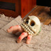 Halloween Skull Simulation Hand - Spooky Horror Garden Resin Ornaments Halloween Skull Hand - Gear Elevation