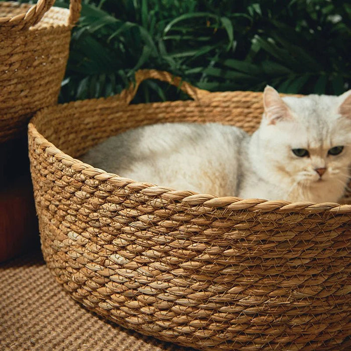 Handwoven Rattan Cat Bed – Cozy Scratch - Resistant Nest with Detachable, Washable Warmth Pad for Winter Comfort - Gear Elevation