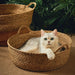 Handwoven Rattan Cat Bed – Cozy Scratch - Resistant Nest with Detachable, Washable Warmth Pad for Winter Comfort - Gear Elevation