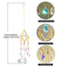 Hanging Sun Catcher Crystal - Hanging Sun Catcher with Chain Rainbow Maker Crystal Prisms for Home Decor - Gear Elevation