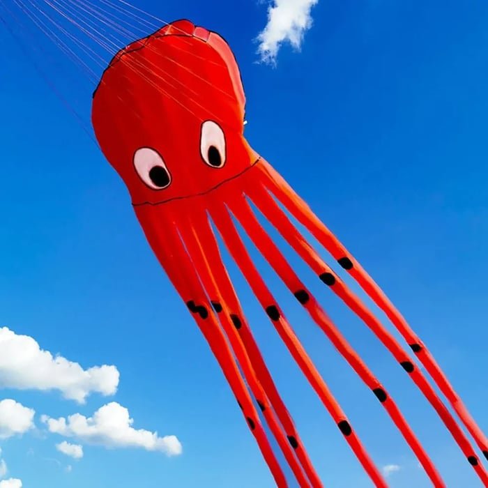 Long Octopus Kite - Outdoor Toy (8 - Meter) - Gear Elevation