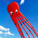 Long Octopus Kite - Outdoor Toy (8 - Meter) - Gear Elevation