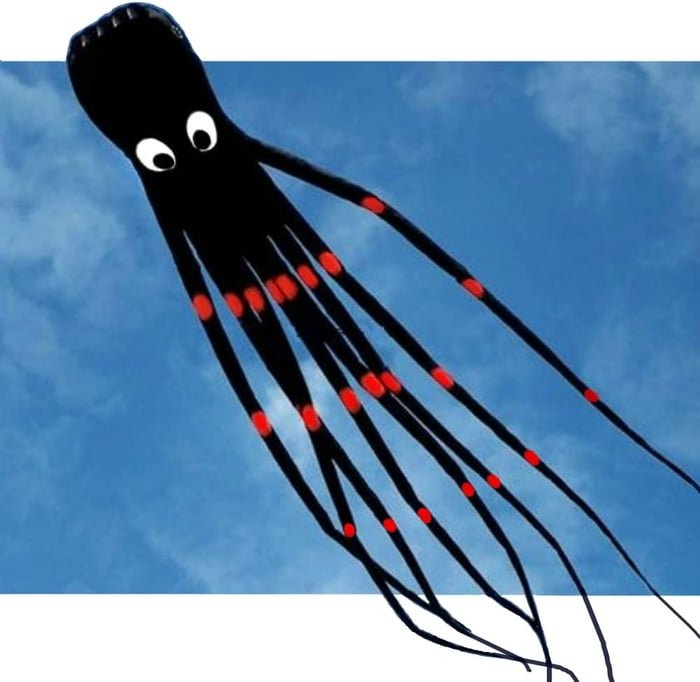 Long Octopus Kite - Outdoor Toy (8 - Meter) - Gear Elevation