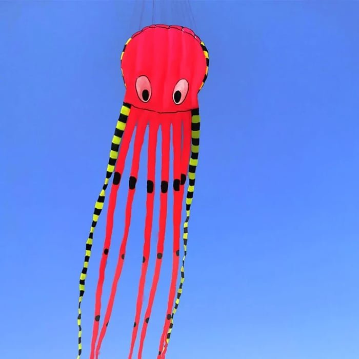 Long Octopus Kite - Outdoor Toy (8 - Meter) - Gear Elevation