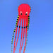 Long Octopus Kite - Outdoor Toy (8 - Meter) - Gear Elevation