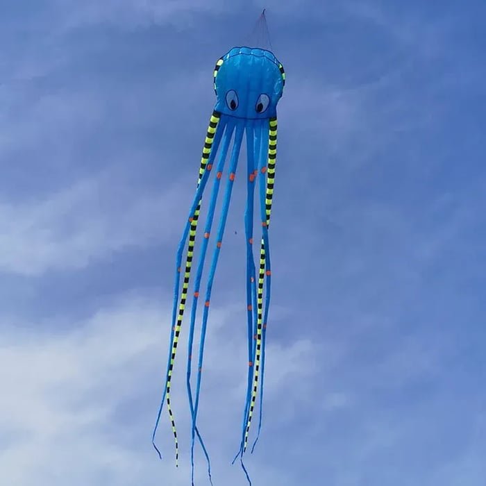 Long Octopus Kite - Outdoor Toy (8 - Meter) - Gear Elevation