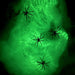 Luminous Spider Web - Glow - in - the - Dark Décor - Gear Elevation