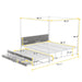 Metal Queen Size Canopy Platform Bed with Twin Size Trundle and 3 Storage Drawers - Gear Elevation