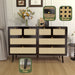 Modern Rattan Dressing Table with 6 Wide Width Drawers and Metal Handles, Wooden Drawer Storage Box - Gear Elevation