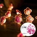 Pink Cherry Blossom Fairy Light Garland - Creative Flower - Shaped String Lights - Gear Elevation