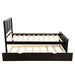 Platform Bed with Twin Size Trundle, Twin Size Frame - Gear Elevation