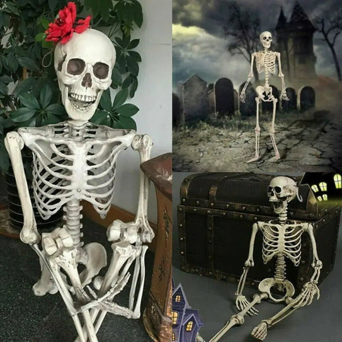 Poseable Full - Size Skeleton - Creepy Halloween Decor - Gear Elevation