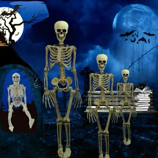 Poseable Full - Size Skeleton - Creepy Halloween Decor - Gear Elevation