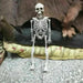 Poseable Full - Size Skeleton - Creepy Halloween Decor - Gear Elevation