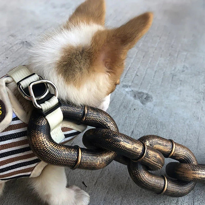 Simulation Chain for Dogs - Stylish, Lightweight Dog Leash - Gear Elevation