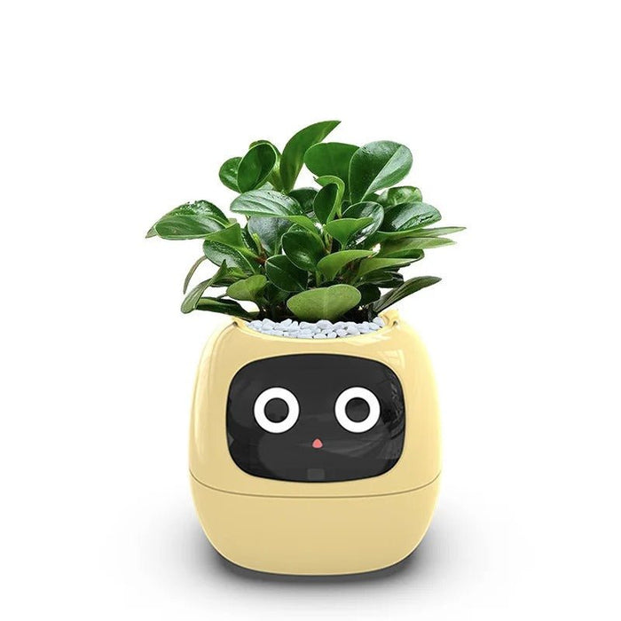 Smart Sensors Planter - 7 Smart Sensors, and Ai Chips Make Raising Plants Easy and Fun for Living Room - Gear Elevation