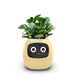 Smart Sensors Planter - 7 Smart Sensors, and Ai Chips Make Raising Plants Easy and Fun for Living Room - Gear Elevation