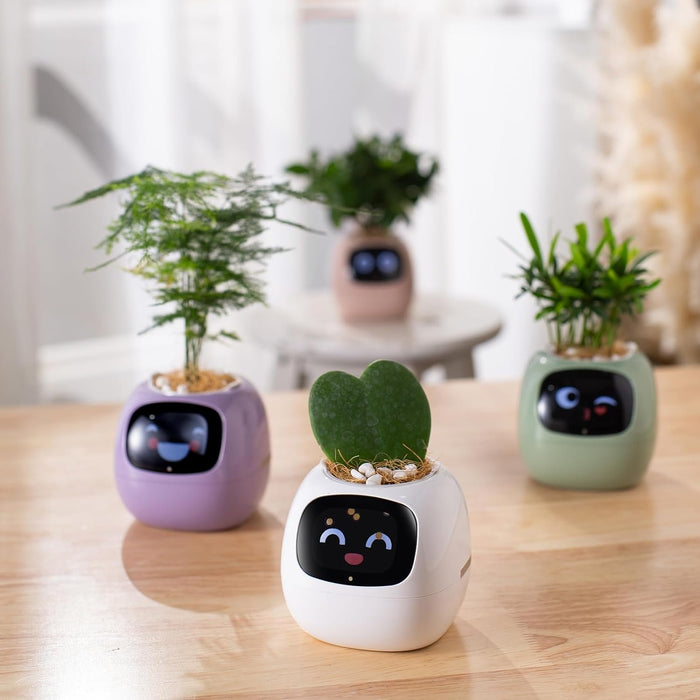 Smart Sensors Planter - 7 Smart Sensors, and Ai Chips Make Raising Plants Easy and Fun for Living Room - Gear Elevation