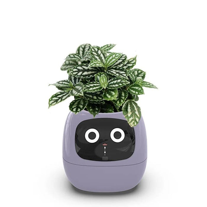 Smart Sensors Planter - 7 Smart Sensors, and Ai Chips Make Raising Plants Easy and Fun for Living Room - Gear Elevation