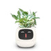 Smart Sensors Planter - 7 Smart Sensors, and Ai Chips Make Raising Plants Easy and Fun for Living Room - Gear Elevation