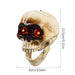 Spooky Skull Heads - Skull Heads with Motion Sensor Halloween Decorations, Scary Sound, Spooky Decoration - Gear Elevation