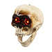 Spooky Skull Heads - Skull Heads with Motion Sensor Halloween Decorations, Scary Sound, Spooky Decoration - Gear Elevation