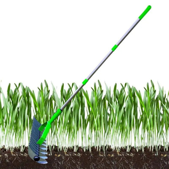 Thatch Rake - Efficient Steel Metal Lawn Grass Rake with Stainless Steel Handle - Gear Elevation