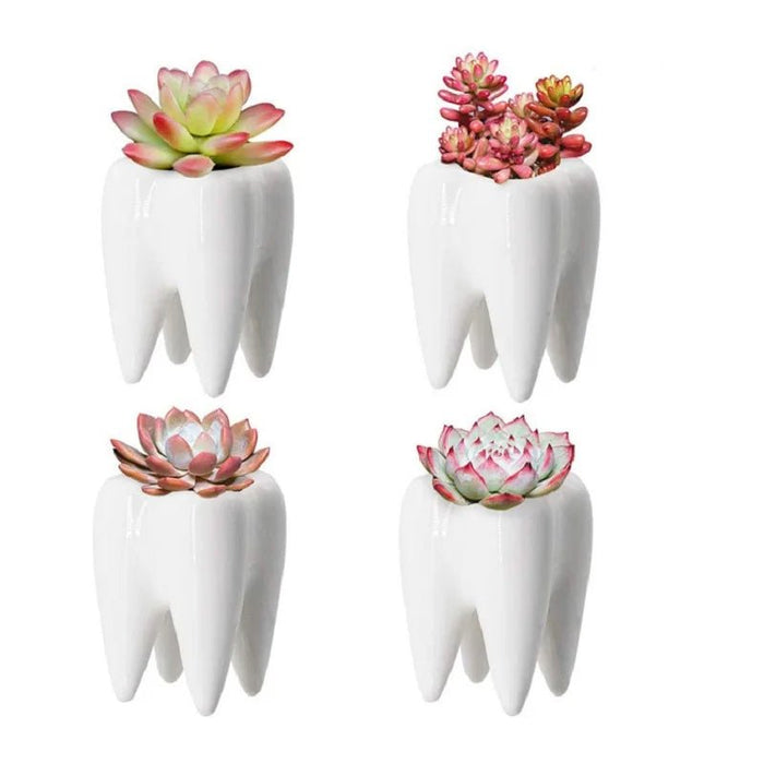 Tooth - Shaped Ceramic Vase – Perfect for Flowers, Pens, or Planters - A Charming Gift for Dentists and Home Décor Delight - Gear Elevation