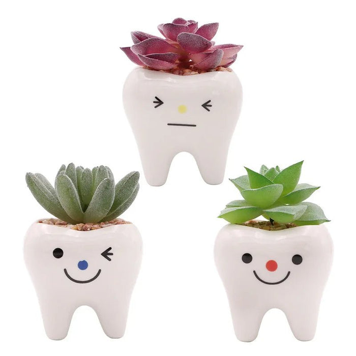 Tooth - Shaped Ceramic Vase – Perfect for Flowers, Pens, or Planters - A Charming Gift for Dentists and Home Décor Delight - Gear Elevation