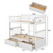 Twin over Twin Bunk Bed with Drawers Convertible Beds - Gear Elevation