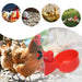 Automatic Chicken Water Cup - 5 Pcs Chicken Water Cup Automatic Drinker for Chickens - Gear Elevation