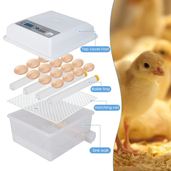 Automatic Egg Incubator - Poultry Hatcher for Chickens Ducks Birds (16Eggs） - Gear Elevation