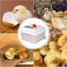 Automatic Egg Incubator - Poultry Hatcher for Chickens Ducks Birds (16Eggs） - Gear Elevation