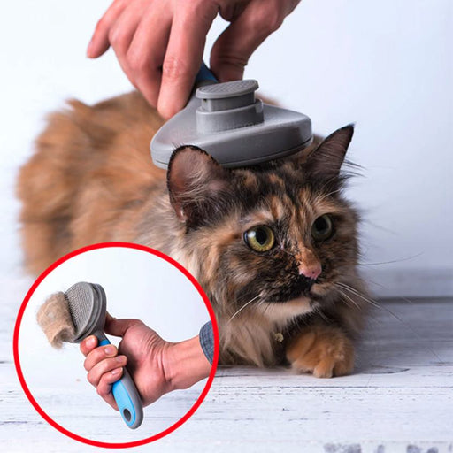 Cat Hair Remover Brush - Gear Elevation